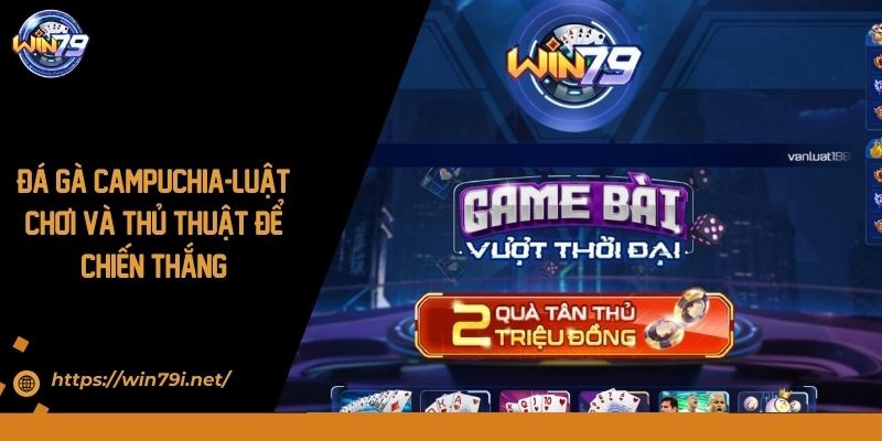 Đá Gà Campuchia - Luật Chơi Và Thủ Thuật Để Chiến Thắng