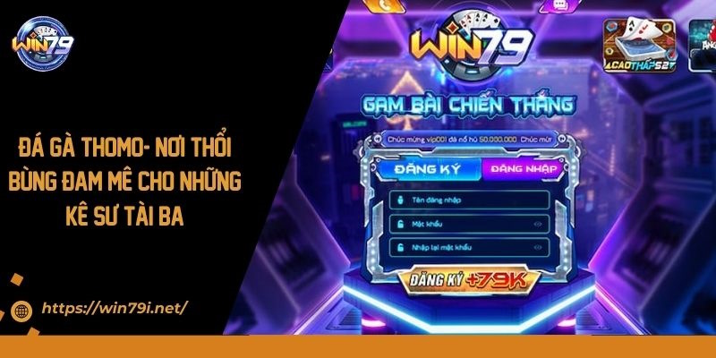 Đá Gà Thomo- Nơi Thổi Bùng Đam Mê Cho Những Kê Sư Tài Ba